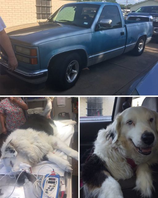 In order to pay for her surgery, I had to sell my truck, and now my job is on the line.