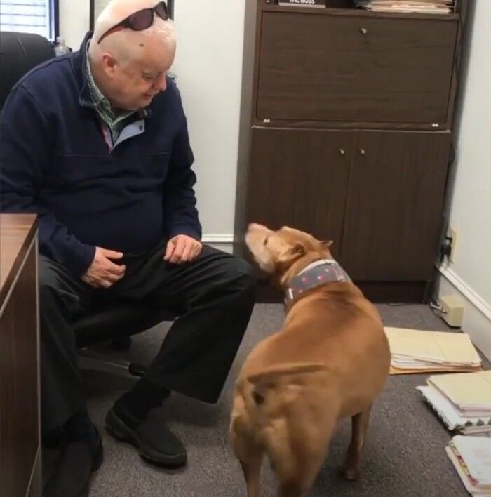 Rescue Dog Goes Viral for Yelling at the Boss on His First Day