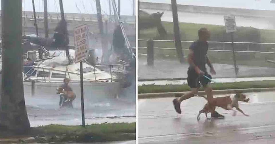 Man risks his life and enters the sea to rescue a puppy stranded in the midst of Hurricane Ian.