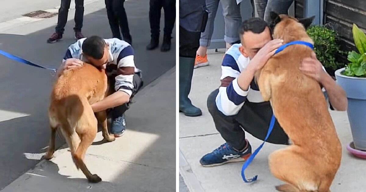 Owner Travels 310 Miles To Reunite With His Stolen Dog