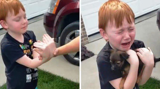 Boy-was-Saving-his-Money-to-buy-Puppy-Grandma-asks-him-to-Close-his-Eyes-Stretch-his-Arms