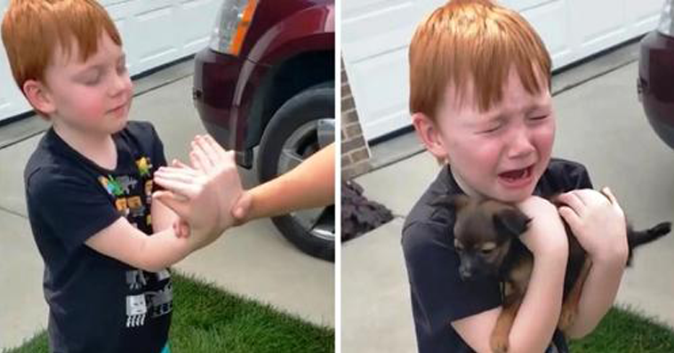 Boy was Saving his Money to buy Puppy, Grandma asks him to Close his Eyes & Stretch his Arms!