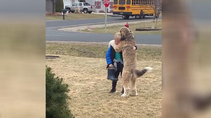 Family-Dog-melts-20M-hearts-Hugging-his-little-Human-after-School