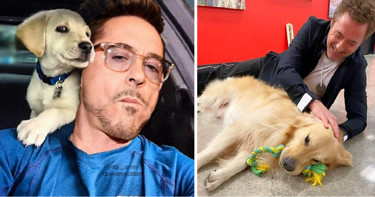 Ironman Actor Robert Downey Confesses That Lately, He Can’t Live Without His Rescued Animals!