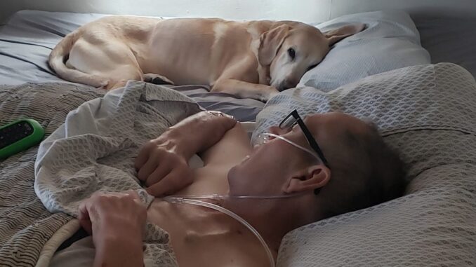 Loyal-Dog-And-His-Veteran-Owner-Gone-To-Heaven-Together