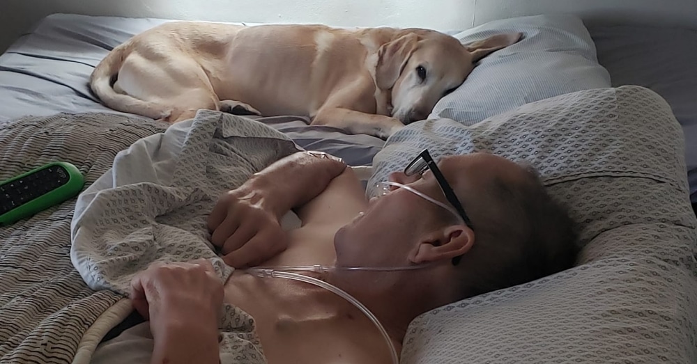 Loyal Dog And His Veteran Owner Gone To Heaven Together