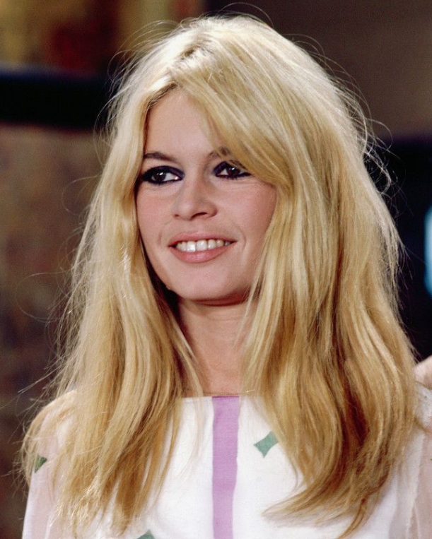 Recognize This Timeless Beauty?: Take a Closer Look at This Iconic Star’s Stunning Transformation Over the Years!