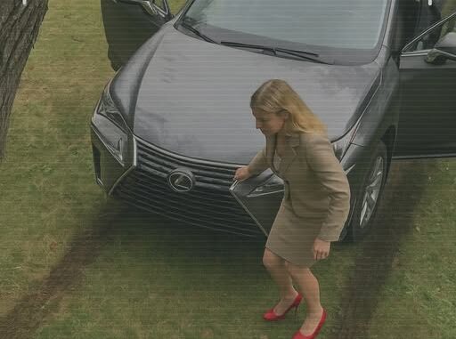 drive-lawn