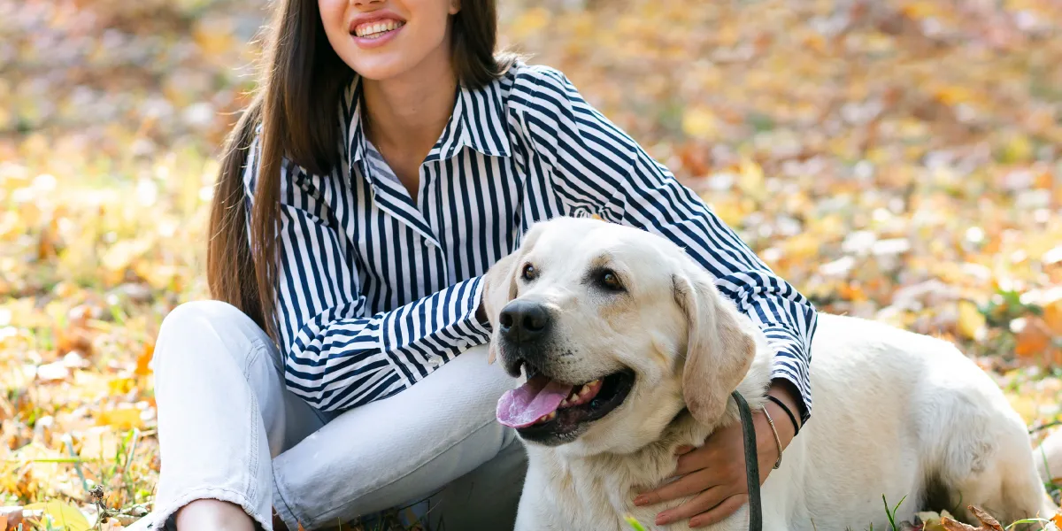 My Dog Suddenly Became Very Attached to My Wife – When I Found Out His Reason, I Got Divorced