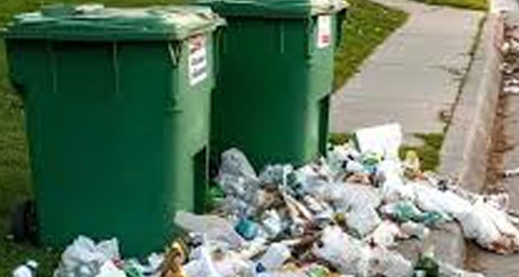 My neighbor kept tipping over my garbage bins.
