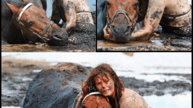 😲As-her-horse-was-drowning-this-woman-did-the-unthinkable-💔-Check-comments-👇🏻-1024x1024