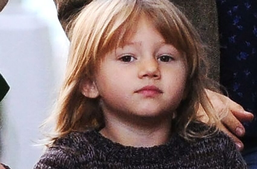 The Hollywood Star Excluded His Daughter from His Will—So Who Took Care of the 2-Year-Old’s Inheritance After His Death?
