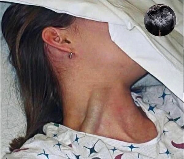 RIP: Young woman tragically loses her life at the hands of someone she trusted.