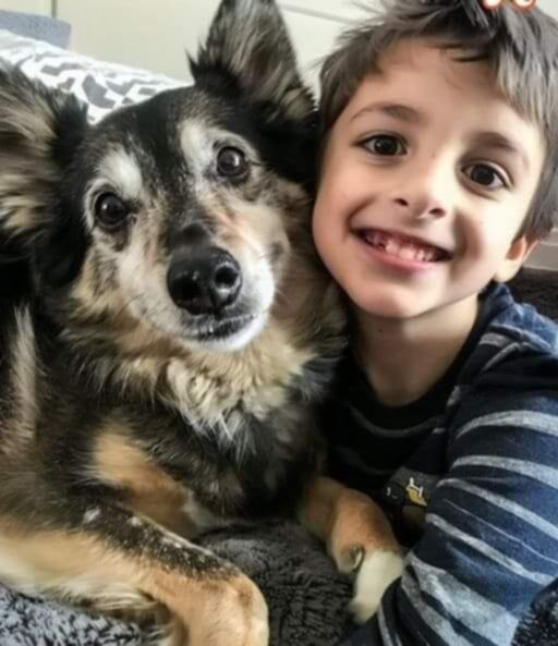 We Brought a Rescue Dog Home — Then My 8-Year-Old Son Went Missing the Next Night