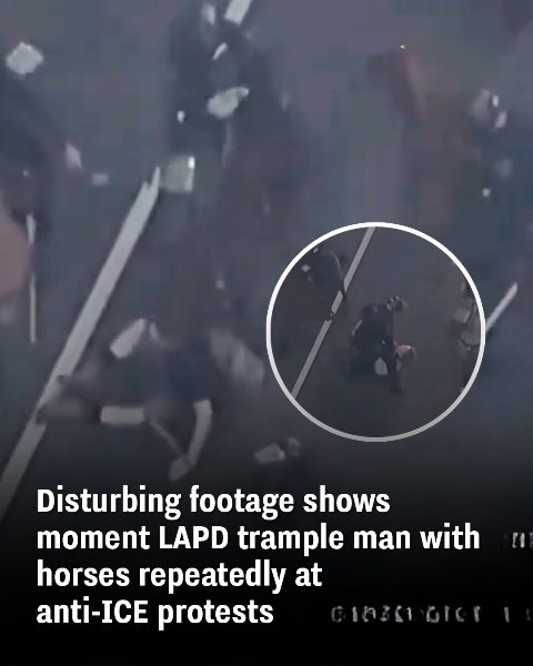 Video Captures LAPD Officers on Horseback Trampling Man During Anti-ICE Protest