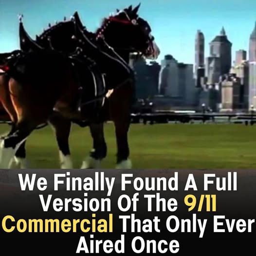 The Powerful 9/11 Budweiser Ad That Aired Just Once, And Why It Still Brings People to Tears