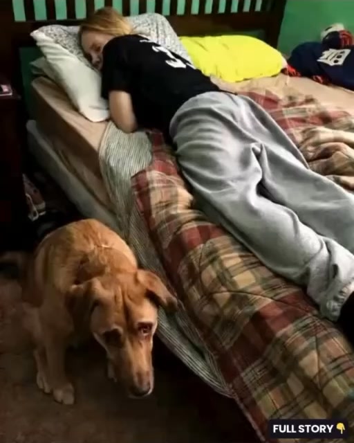 I woke up to find my dog staring at me—and then I saw what was under the bed.