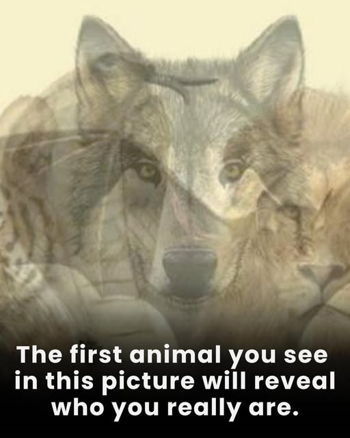 The first animal you see in this picture will reveal who you are
