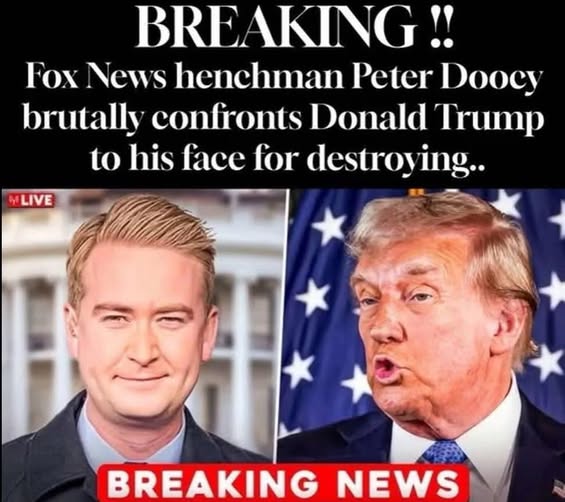 Doocy Reveals What Trump Will Do With Tesla He Bought To Support Musk