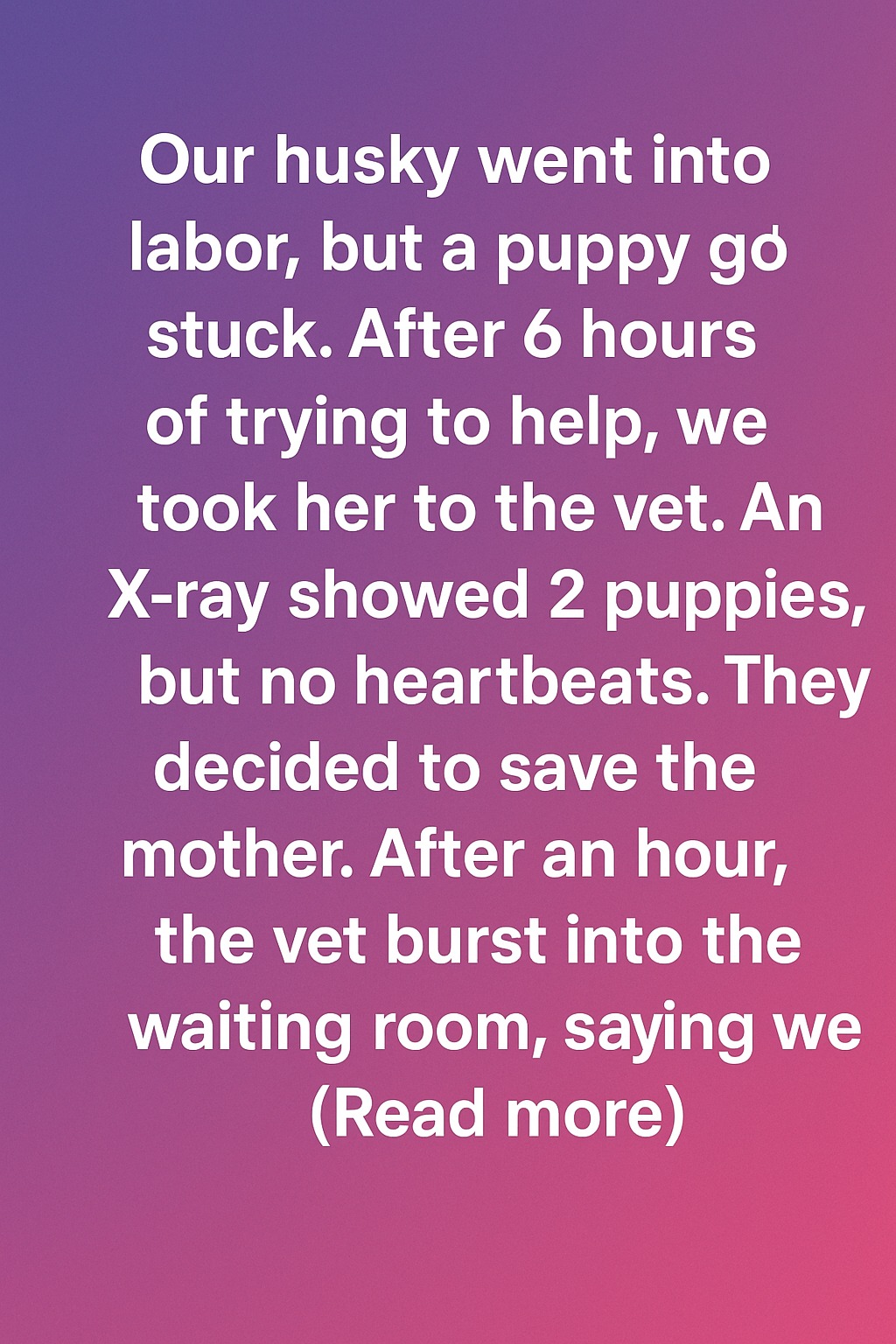 A Miracle Named Hope: How Our Husky and Her Puppy Beat the Odds