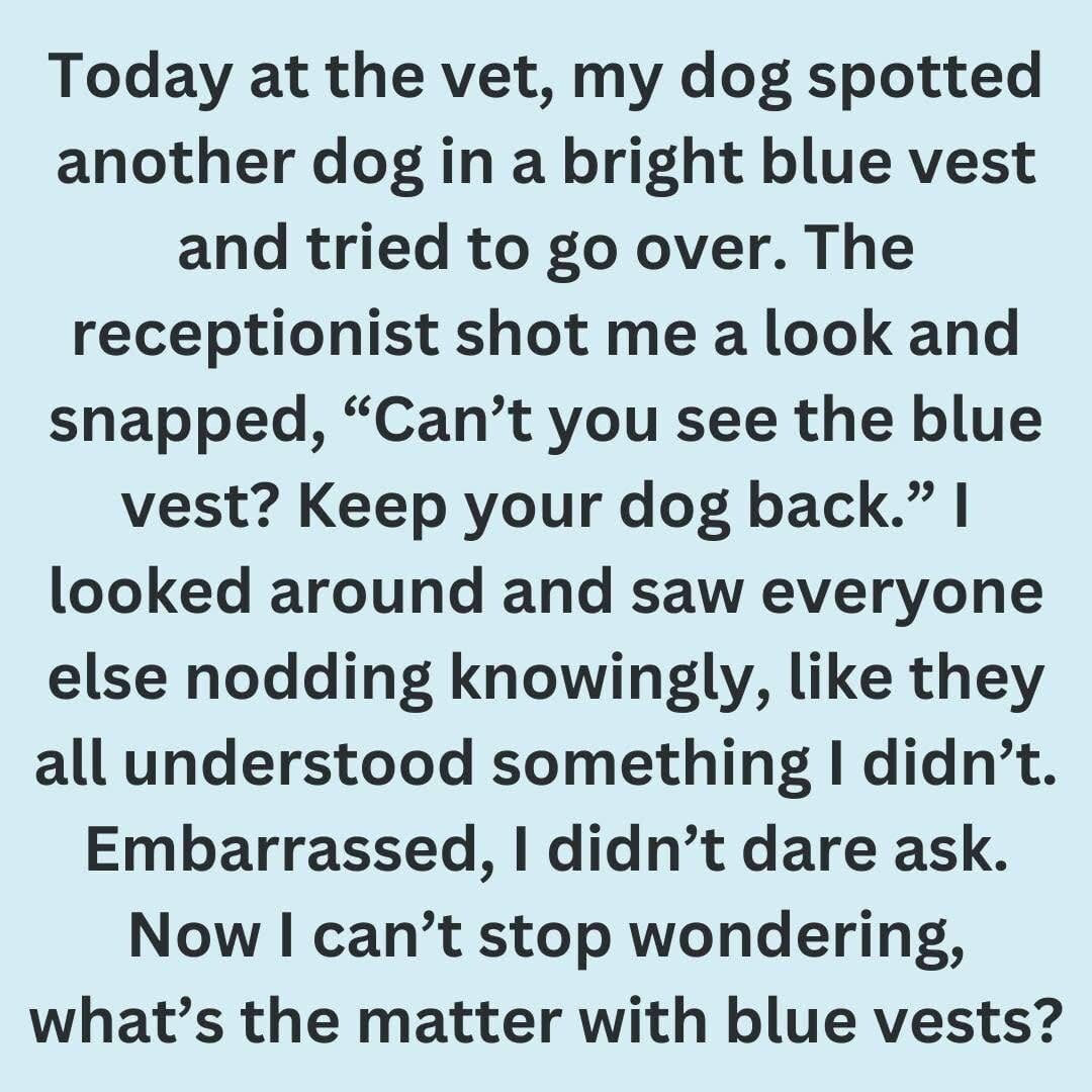 The Hidden Meaning Behind a Dog’s Blue Vest, Leash, or Bandana