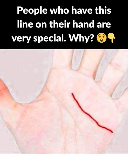 Understanding the Main Lines in Palm Reading