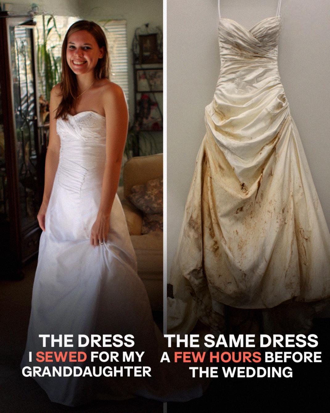 I Spent Months Making My Granddaughter’s Wedding Dress — What Happened Hours Before the Ceremony Changed Everything